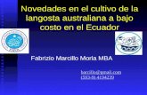 Novedades en el cultivo de la langosta australiana a bajo costo en el Ecuador Fabrizio Marcillo Morla MBA barcillo@gmail.com (593-9) 4194239 (593-9) 4194239.