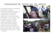 DONACION DE SEMILLAS DE ARROZ SE DONARON CUATRO (4) TONELADAS DE SEMILLAS DE ARROZ SERTIFICADAS QUE BENAFICIARON A LAS SIGUIENTES COMUNIDADES: PIZARRO,