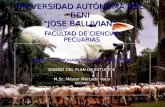 UNIVERSIDAD AUTÓNOMA DEL BENI JOSE BALLIVIAN FACULTAD DE CIENCIAS PECUARIAS CARRERA: MEDICINA VETERINARIA Y ZOOTECNIA DISEÑO DEL PLAN DE ESTUDIOS M.Sc.