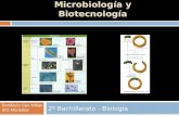 TEMA 13. Microbiología y Biotecnología 2º Bachillerato - Biología Bonifacio San Millán IES Muriedas.