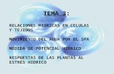 TEMA 3: RELACIONES HIDRICAS EN CELULAS Y TEJIDOS MOVIMIENTO DEL AGUA POR EL SPA MEDIDA DE POTENCIAL HIDRICO RESPUESTAS DE LAS PLANTAS AL ESTRÉS HIDRICO.