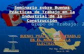 BUENAS PRÁCTICAS DE TRABAJO EN EL MANEJO DE LA ELECTRICIDAD Seminario sobre Buenas Prácticas de Trabajo en la Industrial de la Construcción Grupo de Trabajo: