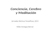 Conciencia, Cerebro y Meditación Jornadas Ibéricas Teosóficas, 2011 Nilda Venegas Bernal.