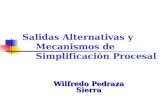 Wilfredo Pedraza Sierra Salidas Alternativas y Mecanismos de Simplificación Procesal.