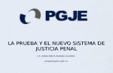 LA PRUEBA Y EL NUEVO SISTEMA DE JUSTICIA PENAL LIC. JORGE EMILIO IRUEGAS ALVAREZ. jiruega@pgjebc.gob.mx.