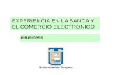 EXPERIENCIA EN LA BANCA Y EL COMERCIO ELECTRONICO eBusiness.