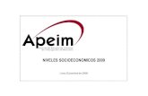 APEIM NSE 2008_2009 - Niveles Socioeconomicos Lima y Peru