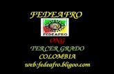 FEDEAFRO ONG TERCER GRADO COLOMBIA web:fedeafro.bligoo.com.