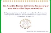 5ta. Reunión Técnica del Comité Promotor por una Maternidad Segura en México Diálogos y aportaciones desde la sociedad civil, salud materna: estrategias.