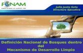 Definición Nacional de Bosques dentro del Mecanismo de Desarrollo Limpio 25 de Agosto 2006 Julia Justo Soto Directora Ejecutiva.