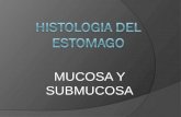 Histologia Del Estomago