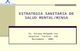 ESTRATEGIA SANITARIA DE SALUD MENTAL/MINSA Ps. Eliana Delgado Coz Hospital Central FAP Noviembre – 2006.