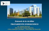 Dr. Claudio Navarrete Dpto de Enfermedades Digestivas Clínica Alemana de Santiago – Universidad del Desarrollo.