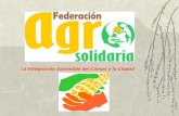 La Integración Sostenible del Campo y la Ciudad. ¿Qué es AGROSOLIDARIA? agrosolidaria Es un Grupo Empresarial Solidario del Sector Agroalimentario que.