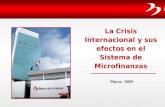 La Crisis Internacional y sus efectos en el Sistema de Microfinanzas Marzo 2009.