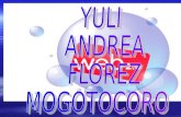 TALLER N. 5 YULI ANDREA FLOREZ MOGOTOCORO YANETH VILLAMIZAR CRISTANCHO TECNOLOGICA FITEC TECNOLOGIA EN GESTION EMPRESARIAL INFORMATICA FITEC 2011.