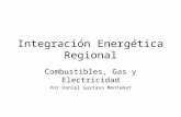 Integración Energética Regional Combustibles, Gas y Electricidad Por Daniel Gustavo Montamat.