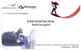 >> The Grid Company PRESENTACION NetInsight Drago Solutions, miembro Vision IT Group Febrero 2010.