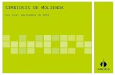 Título de la presentación 1 SIMBIOSIS DE MOLIENDA San José- Septiembre de 2012.