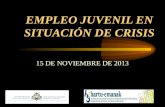 EMPLEO JUVENIL EN SITUACIÓN DE CRISIS 15 DE NOVIEMBRE DE 2013.