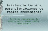 Asistencia técnica para plantaciones de rápido crecimiento Técnicas racionales de manejo del sistema suelo-agua planta.