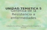 Genética de la Resistencia a enfermedades UNIDAD TEMÁTICA 5 Cátedra Genética y Mejoramiento Vegetal y Animal.