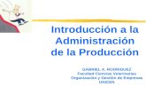 Introducción a la Administración de la Producción GABRIEL A. RODRIGUEZ Facultad Ciencias Veterinarias Organización y Gestión de Empresas UNICEN.