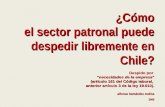 ¿Cómo el sector patronal puede despedir libremente en Chile? Despido por necesidades de la empresanecesidades de la empresa (artículo 161 del Código laboral,