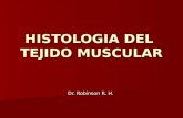 HISTOLOGIA DEL TEJIDO MUSCULAR Dr. Robinson R. H..