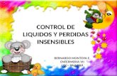 CONTROL DE LIQUIDOS Y PERDIDAS INSENSIBLES BERNARDO MONTOYA E. ENFERMERIA VII USC - PALMIRA.