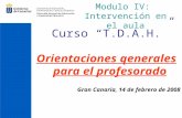 Modulo IV: Intervención en el aula Curso T.D.A.H. Orientaciones qenerales para el profesorado Gran Canaria, 14 de febrero de 2008.