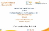 ECSAH/Zona Occidente Nivel micro curricular curso Metodología de la Investigación Unidad Académica ECSAH 17 de septiembre de 2013 Martha Liliana Palomino.