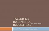 TALLER DE INGENIERÍA INDUSTRIAL Clase 7: Algorítmica y programación Ing. Felipe Torres.