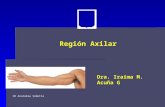 6.) Región Axilar y Deltoidea - Prof. Iraima Acuña