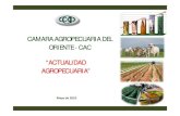 Actualidad Agropecuaria Mayo 2011