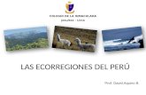 COLEGIO DE LA INMACULADA Jesuitas - Lima Prof. David Aquino B. LAS ECORREGIONES DEL PERÚ.