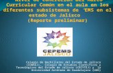 (COBAEJ, (CECYTEJ) (UAG) Colegio de Bachilleres del Estado de Jalisco (COBAEJ), Colegio de Estudios Científicos y Tecnológicos del Estado de Jalisco (CECYTEJ)