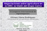 Negociaciones sobre agricultura en la OMC: la Visión del Grupo Cairns Gilman Viana Rodrigues Vice presidente de CNA para Asuntos Internacionales Buenos.