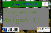 Projecte Maigmó II Grup STENELLA Grup STENELLA. ¿ Qué es El Projecte Maigmó II ? ¿Donde?: En diversas parcelas de actuación en la sierra del Maigmó. ¿Por.