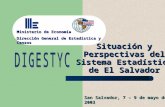 Situación y Perspectivas del Sistema Estadístico de El Salvador San Salvador, 7 – 9 de mayo de 2003 Ministerio de Economía Dirección General de Estadística.