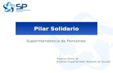 Pilar Solidario Superintendencia de Pensiones Patricia Olmos M. Analista Departamento Atención al Usuario.