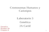 1 Cromosomas Humanos y Cariotipos Laboratorio 3 Genética JA Cardé Genetics Brooker 4e Chapter 8.