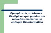 Ejemplos de problemas Biológicos que pueden ser resueltos mediante un enfoque Bioinformático.