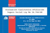 Evaluación Cualitativa Afiliación Seguro Social Ley No 16.744/68 Jornada Nacional de Subdirectores de RRHH 15 y 16 de Mayo de 2014 Pablo Durán Valenzuela.