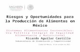 1 Riesgos y Oportunidades para la Producción de Alimentos en México Sistemas Alimentarios Sostenibles: Una Política Integral de Seguridad Alimentaria y.