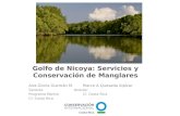 Golfo de Nicoya: Servicios y Conservación de Manglares Ana Gloria Guzmán M.Marco A Quesada Alpízar GerenteDirector Programa MarinoCI- Costa Rica CI- Costa.