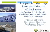 Proyecto de Ley Protección de Glaciares boletín N° 9364-12 Comisión Medio Ambiente Cámara Diputados Flavia Liberona Directora Ejecutiva Fundación Terram.