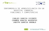 ENFERMERO/A DE HEMOVIGILANCIA EN UN HOSPITAL COMARCAL. FUNCIONES Y COMPETENCIAS CARLES GARCIA VICENTE CARMEN GARCIA RAVENTOS JUDITH GARCIA GREBLO.