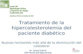 Tratamiento de la hipercolesterolemia del paciente diabético Nuevos horizontes más allá de la disminución del colesterol Dr Josep FRANCH EAP Raval Sud-