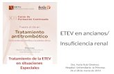 Dra. Nuria Ruiz Giménez. Hospital Universitario la Princesa. 26 al 28 de marzo de 2014 ETEV en ancianos/ Insuficiencia renal Tratamiento de la ETEV en.